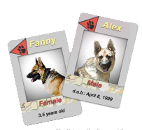 Fanny and Alex Cards