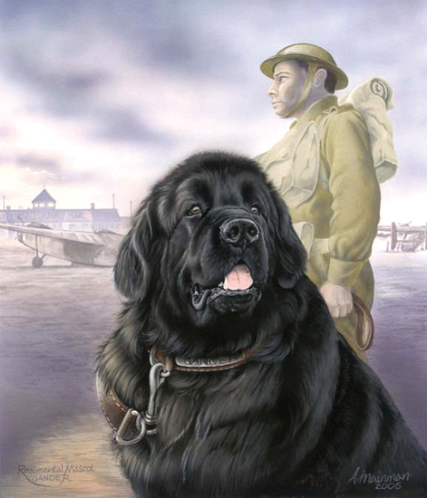 Artist: Anne Mainman Courtesy of: Newfound Friends - Newfoundland Dogs Working For Childrens Charities