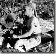 Gunner working sights of 25 pounder in Sicily