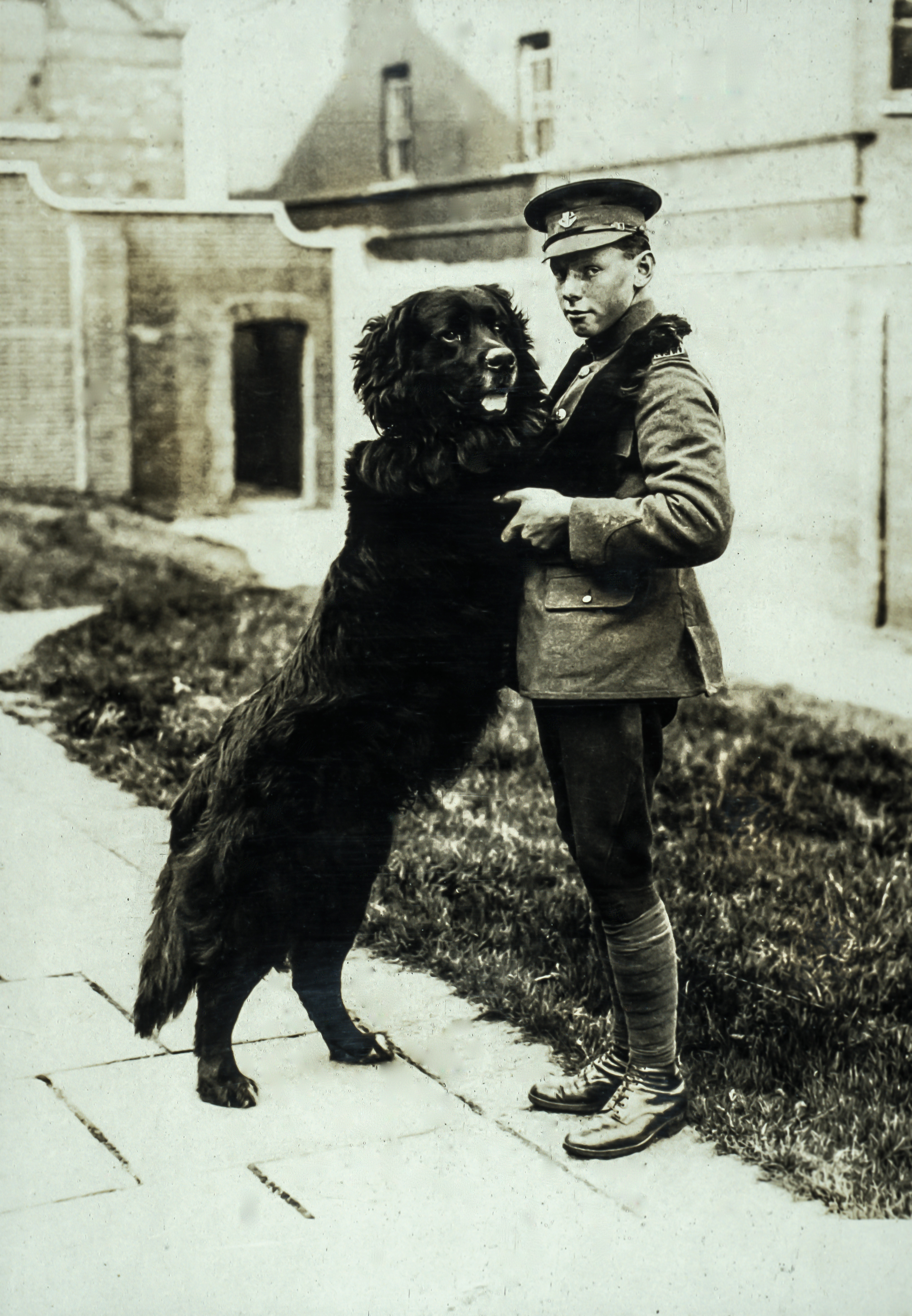 Sable Chief with handler Private Hazen Fraser