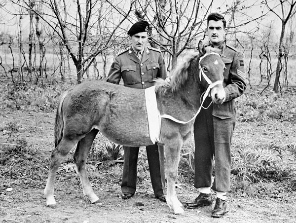 Princess Louise, the horse mascot, and two soldiers.