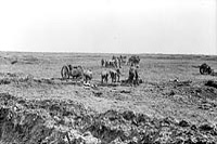 33rd Battery, Canadian Field Artillery, bringing up the guns. Vimy Ridge, April 1917.