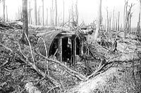 A captured German gun emplacement in Farbus Wood, April 1917.