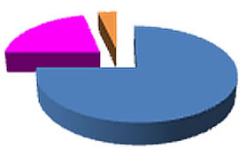 A pie chart showing the percentage of clients initially referred by Referral Agencies to each of the Programs.  Details in text adjacent to the image.