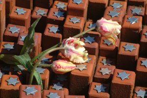Small red clay stones adorned with the Star of David.