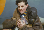 Pigeon voyageur de la Royal Air Force, 1942