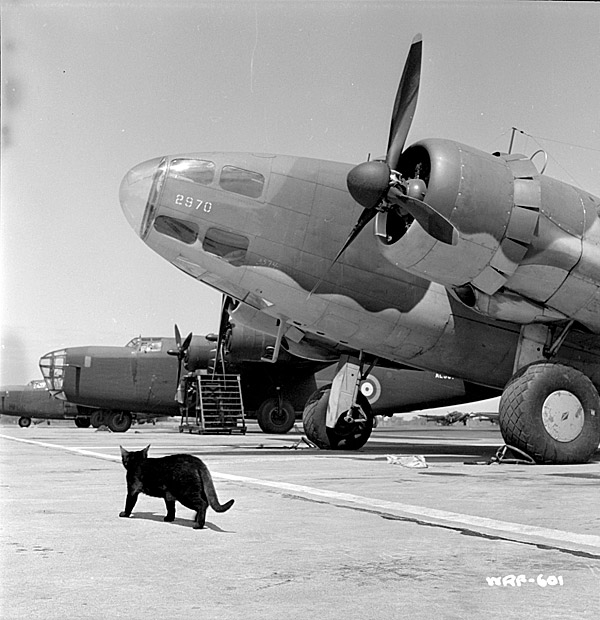 Aéroport de Dorval : Avions en partance pour la Grande-Bretagne.