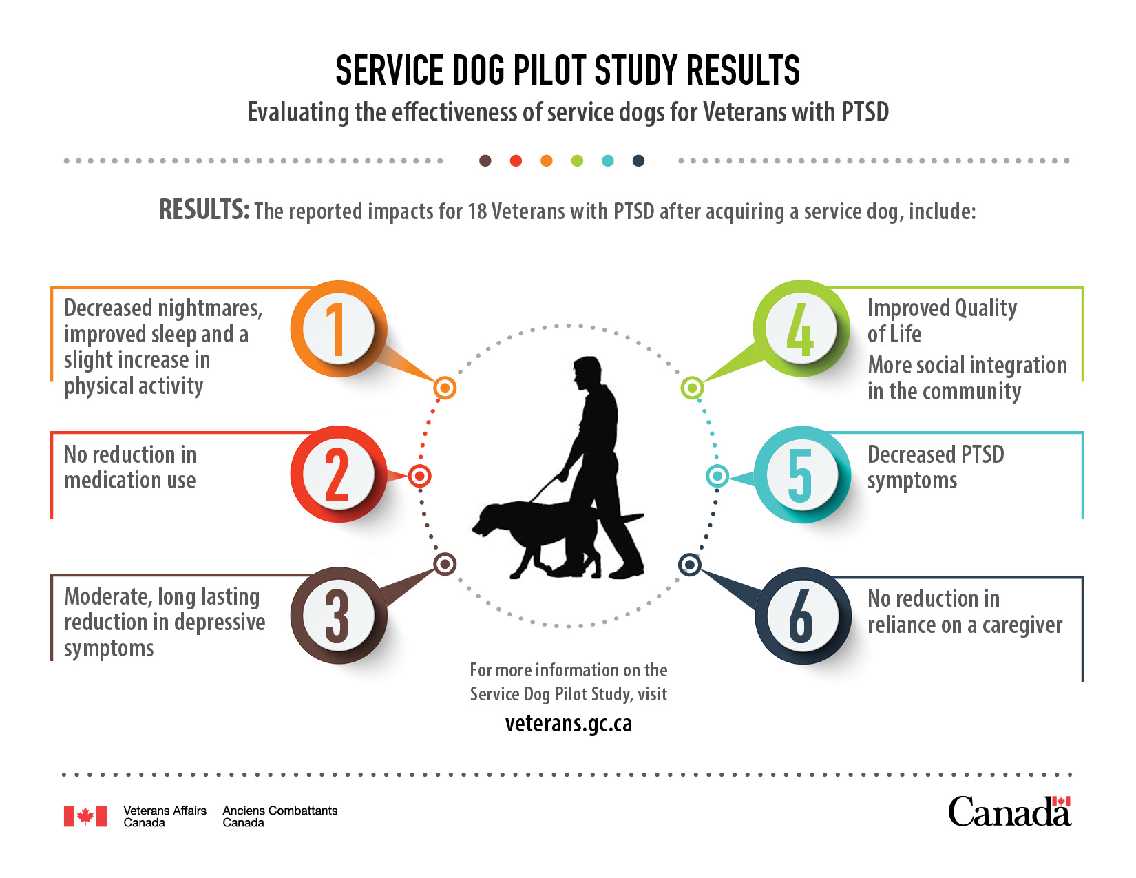 Service dogs infographic