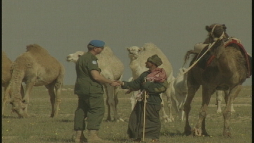 Middle East - Canadian Armed Forces in the Middle East