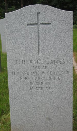Pierre tombale de Terrance James Dryland