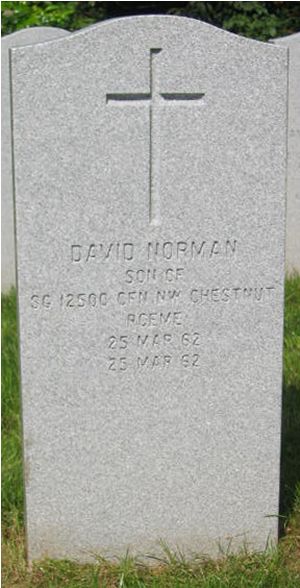 Headstone of David Norman Chestnut