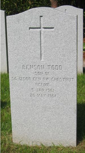 Pierre tombale de Benson Todd Chestnut