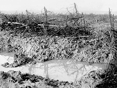 Du barbelé et de la vase