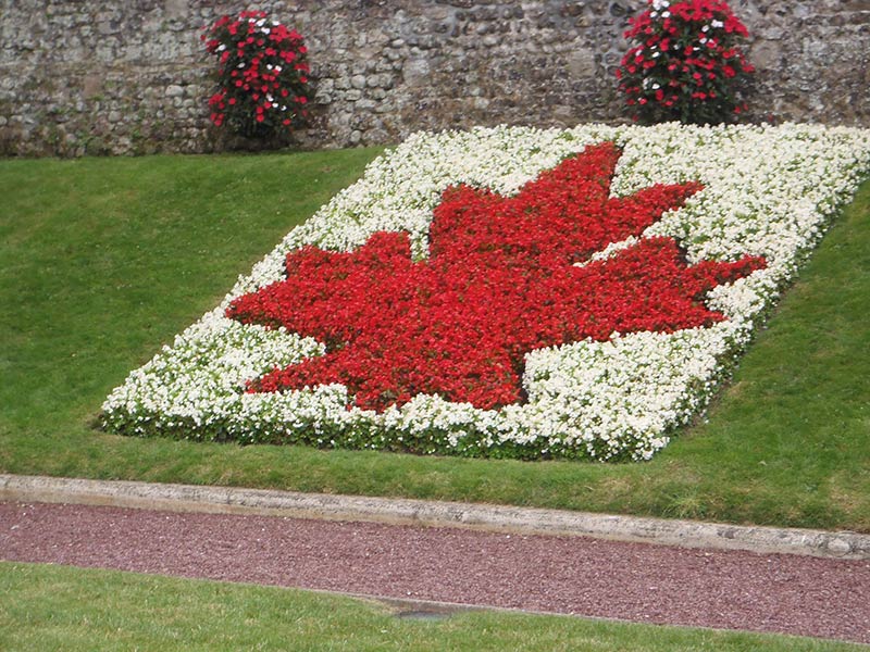 Maple leaf garden at Square du Canada in Dieppe, France