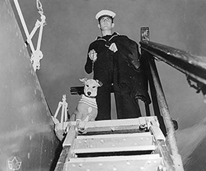 Alice wearing her new sweater aboard HMCS Cayuga