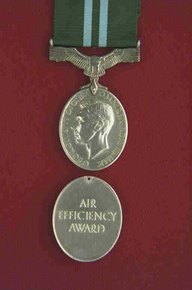 Air Efficiency Award.  An oval silver medal, 1.5 inches long, 1.25 inches wide.