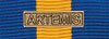 European Security and Defence Policy Service Medal (ESDP)