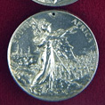 Médaille du Roi pour l'Afrique du Sud