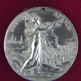Médaille de la Reine pour l'Afrique du Sud