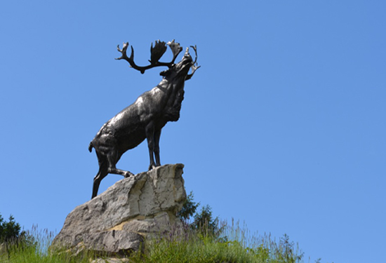 Beaumont-Hamel Newfoundland Memorial