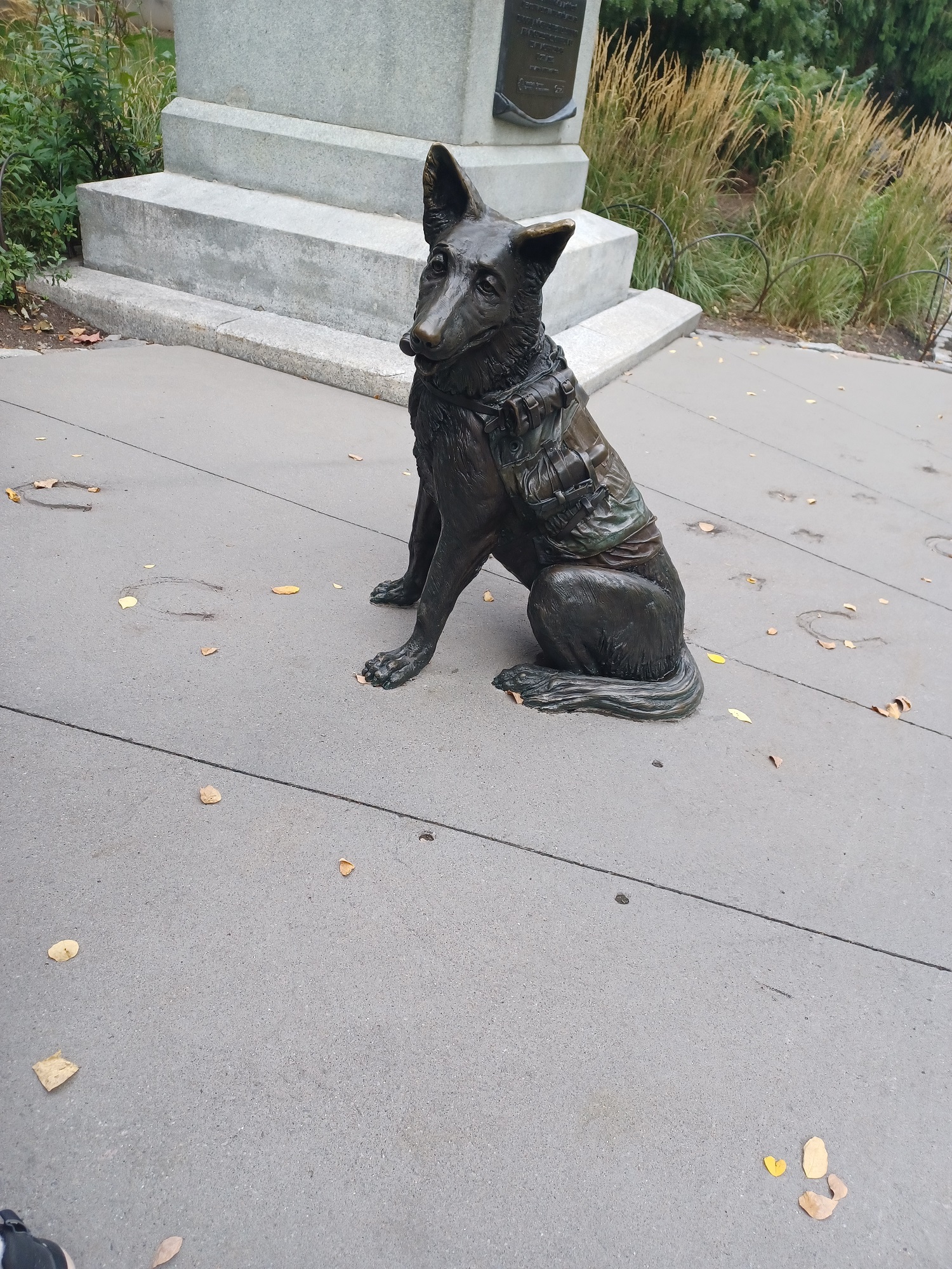 Bronze, life-sized statue of a medical service dog.