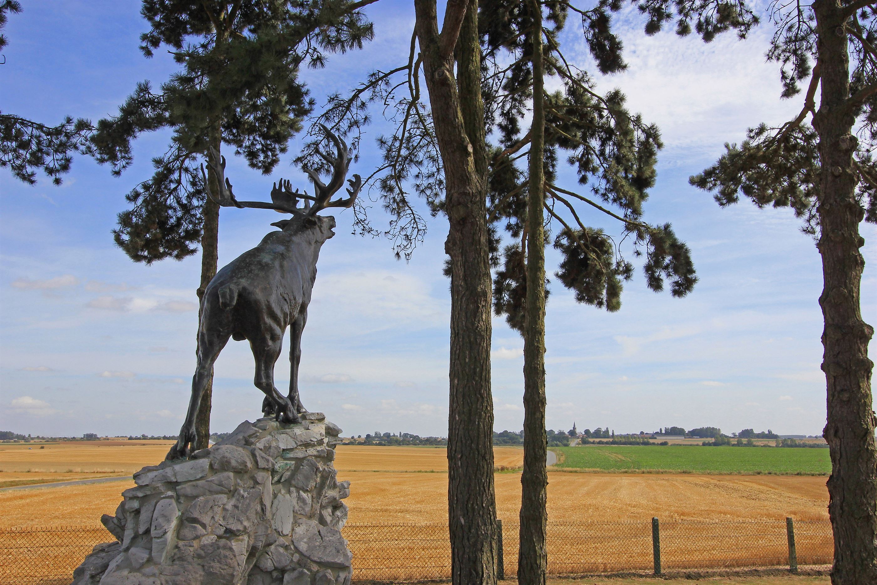 Le Caribou de bronze au Mémorial terre-neuvien à Gueudecourt