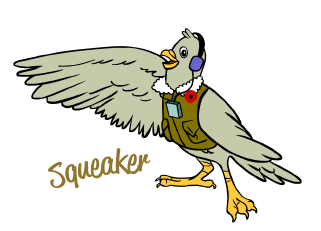 Squeaker the pigeon