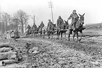 Un attelage de mulets tire un chargement de munitions sur une voie ferrée secondaire près de Petit Vimy, en France, Avril 1917.