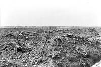 View looking back from front line trenches.