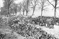 Quelques douilles des obus utilisés contre les Allemands dans l'attaque de la crête de Vimy, Mai 1917.