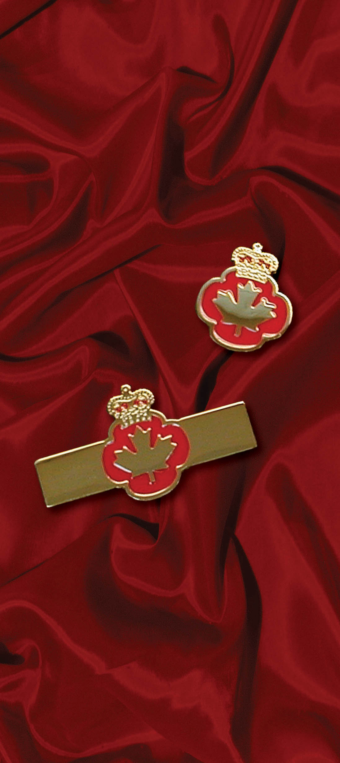 Minister of Veterans Affairs Commendation bar and lapel pin