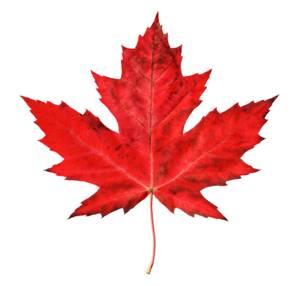 Maple Leaf: Patriotism
