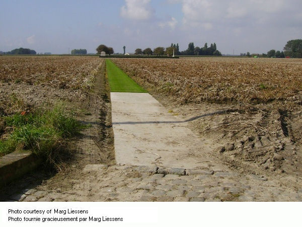 Walk to Talana Farm Cemetery