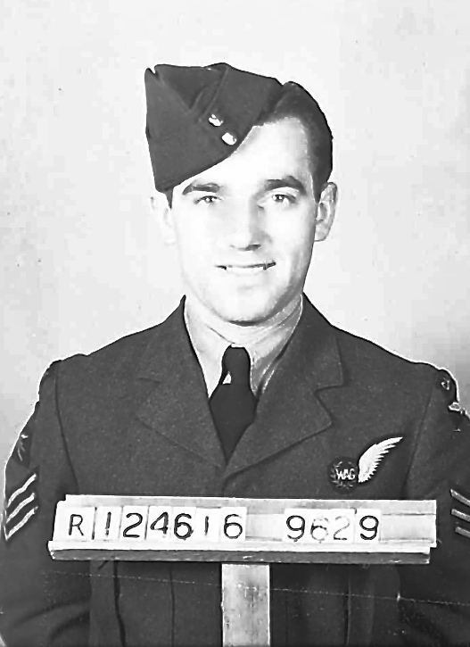 Photo of DAVID ARCHIBALD WILLISTON