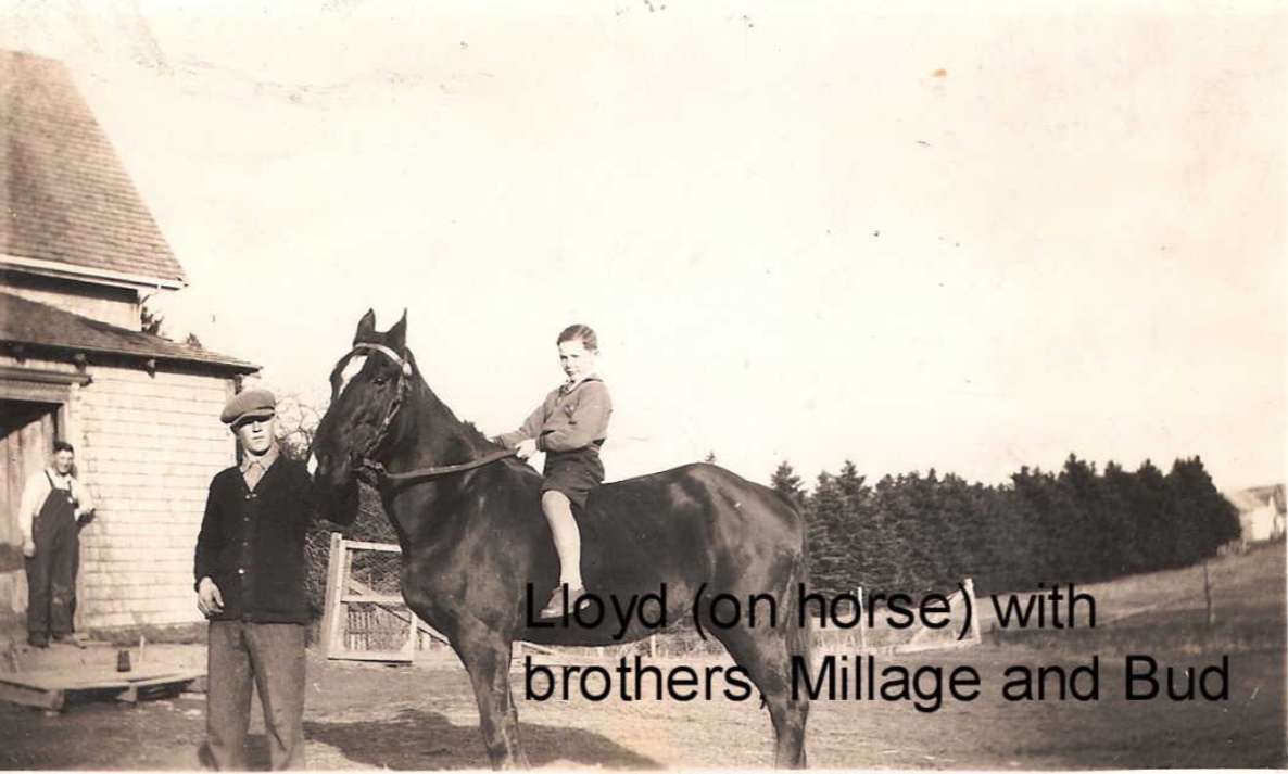 Photo of ALLISON FREDERICK WEEKS MACLEOD