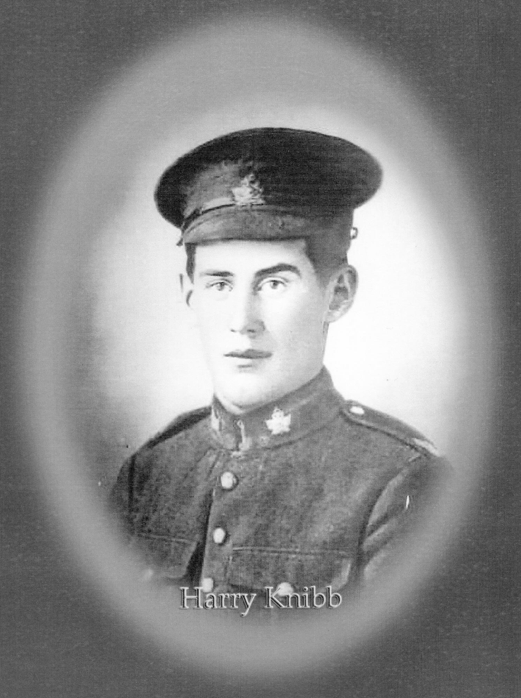 Photo of HARRY KNIBB