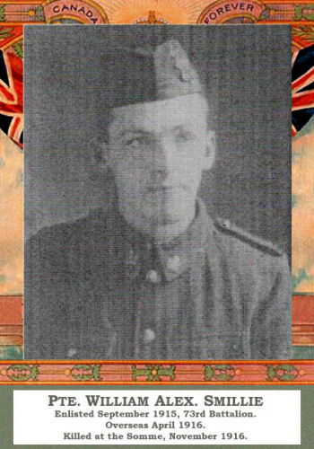 Photo of William Smillie