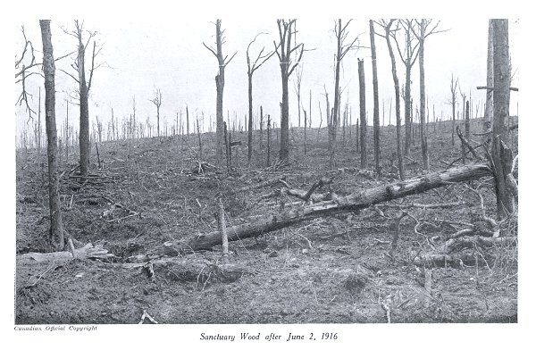 Photo of Sanctuary Wood