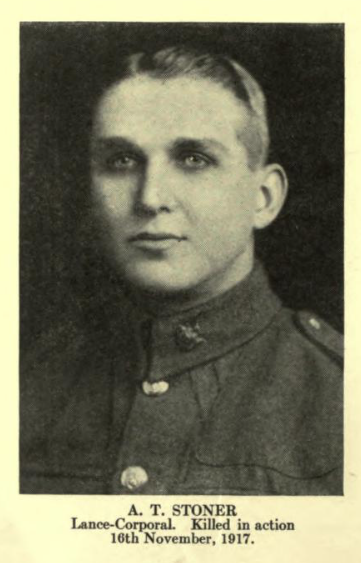 Photo of AVERY TILLSON STONER