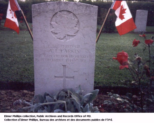 Grave marker for A.E. Larkin