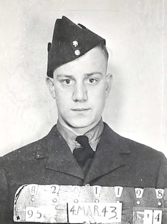 Photo of CIRO BERTOIA