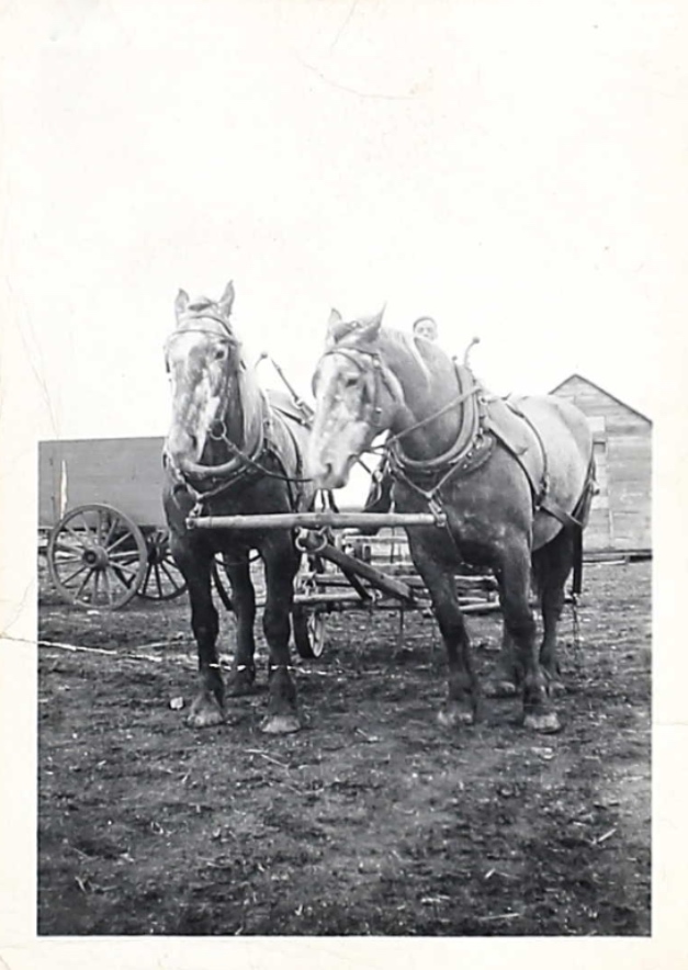 Photo of WESLEY JOHN FLETT