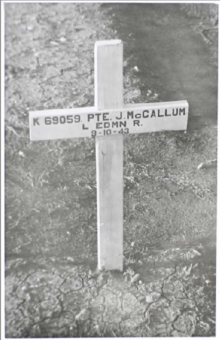 Photo of JOHN MCCALLUM