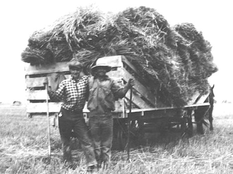 Photo of ANTHONY MEAD