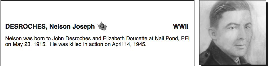 Photo of NELSON DES ROCHES