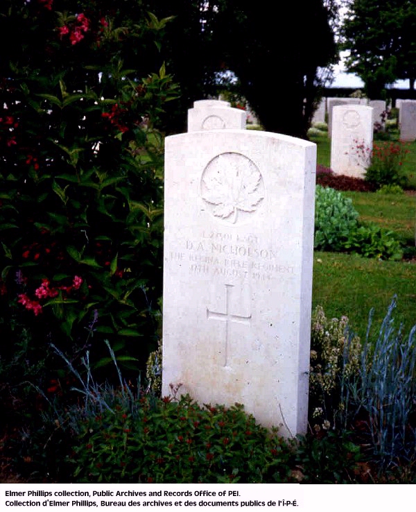 Grave marker for D.A. Nicholson