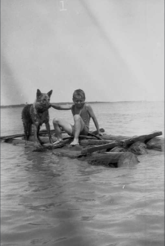 Photo of John McCann