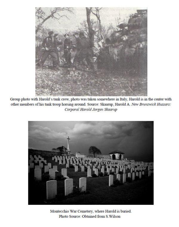 Photo of Harold Skaarup