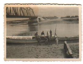 Recovery of remains 3