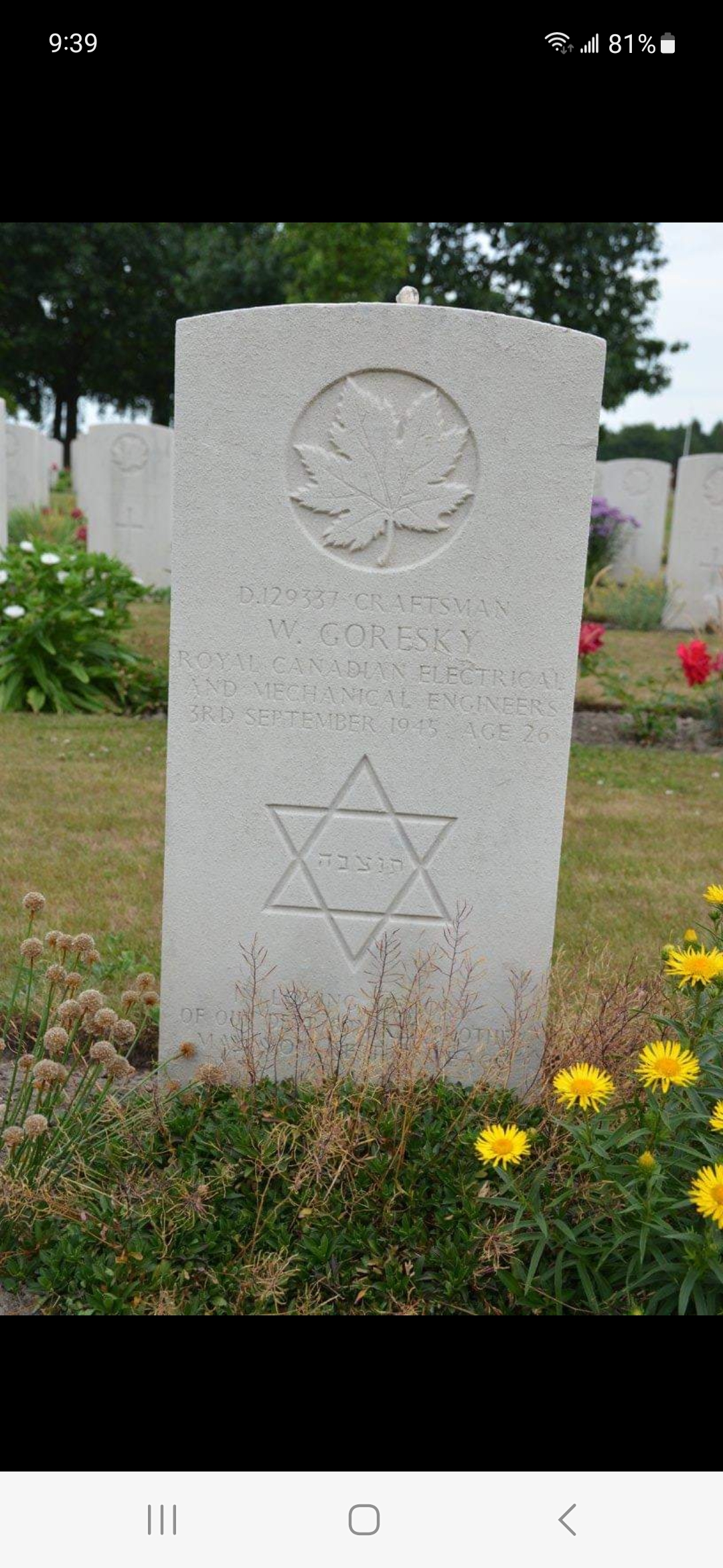 Photo of William Goresky